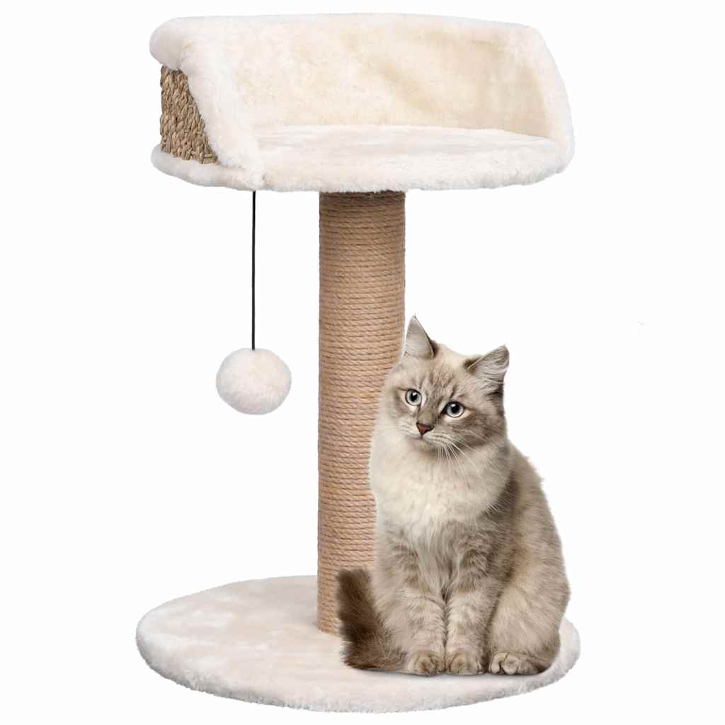 Pawly Cat Tree — Seagrass Scratching Post with Plush Perch (49 cm)