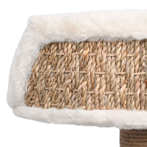 Pawly Cat Tree — Seagrass Scratching Post with Plush Perch (49 cm)