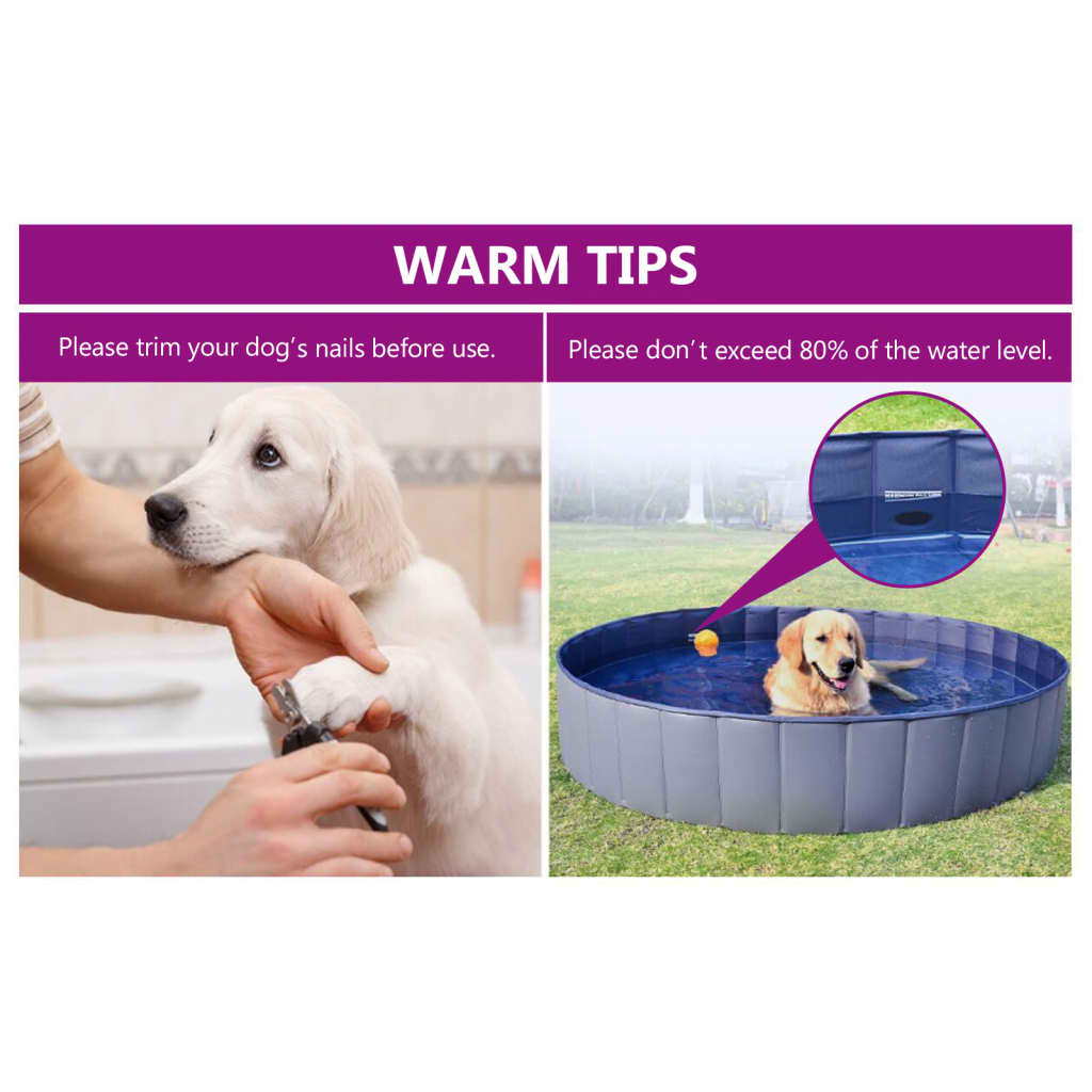Pawly Dog Pool — Foldable PVC Paddling Pool for Dogs